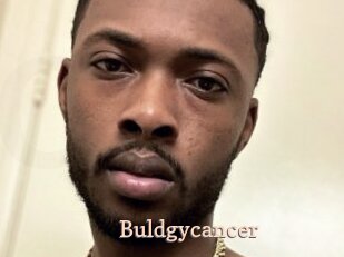 Buldgycancer