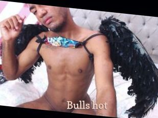 Bulls_hot