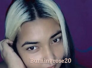 Burningrose20