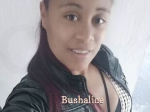Bushalice