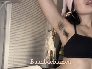 Bushbaeblanca