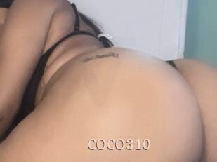 COCO310