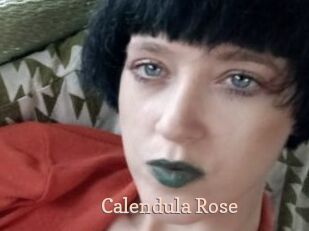 Calendula_Rose
