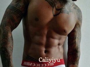 Caliyiyu Chaude Vision
