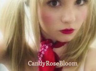 CandyRoseBloom