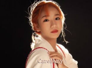 CarelAny