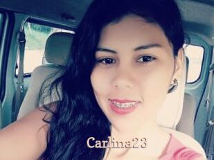 Carlina23