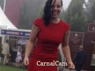 CarnalCam