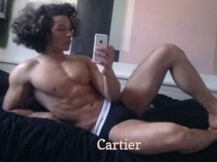 Cartier_ Chaude Vision