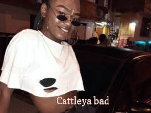 Cattleya_bad