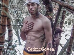 CedricGovea