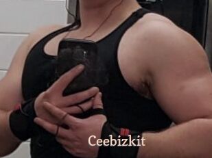 Ceebizkit