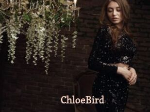 ChloeBird