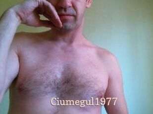 Ciumegul1977