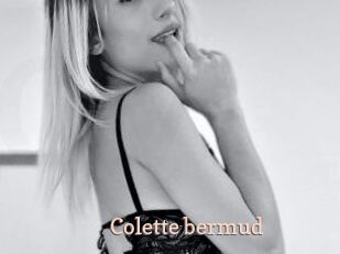Colette_bermud