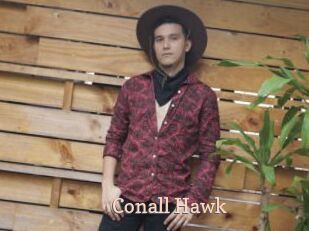 Conall_Hawk