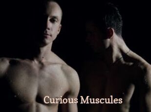 Curious_Muscules