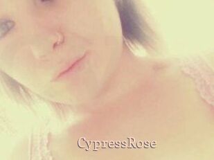 Cypress_Rose