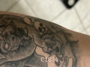 c1234 Chaude Vision
