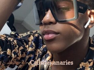 Callmekanaries