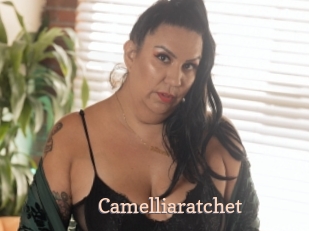 Camelliaratchet