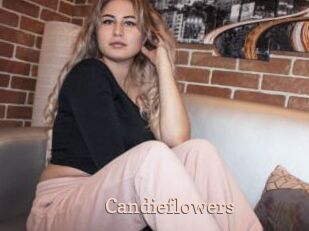 candieflowers Chaude Vision