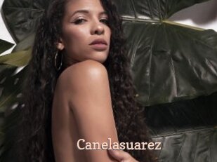 Canelasuarez