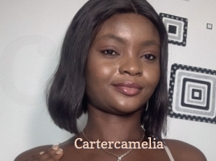 Cartercamelia