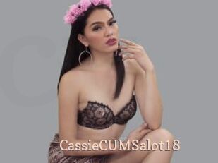CassieCUMSalot18