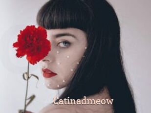 Catinadmeow