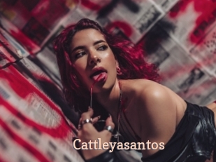 Cattleyasantos