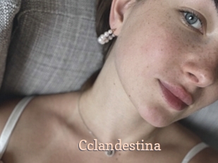 cclandestina Chaude Vision