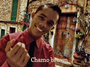 Chamo_brown