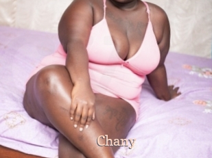 Chany