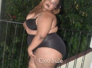 Cleo_bule