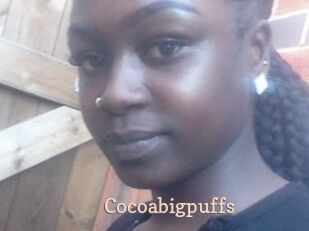 Cocoabigpuffs