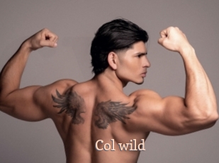 col_wild Chaude Vision