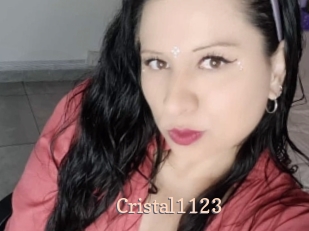 Cristal1123