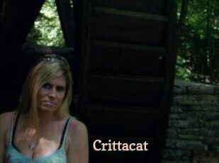Crittacat