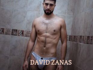 DAVID_ZANAS