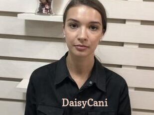 DaisyCani