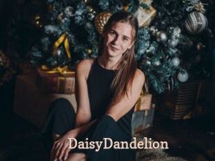 DaisyDandelion