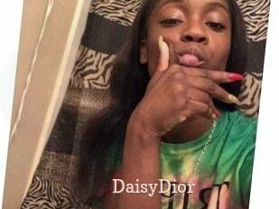 DaisyDior