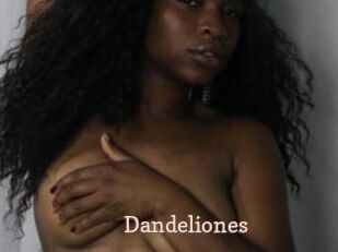 Dandeliones Chaude Vision