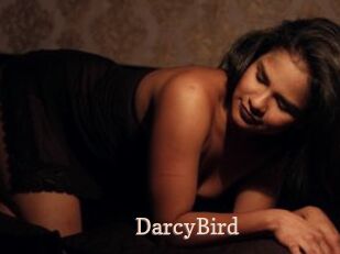 DarcyBird
