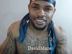 David_Maze