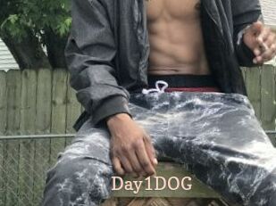 Day1DOG