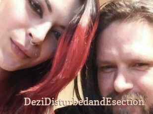 DeziDisturbedandEsection