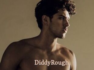 DiddyRough