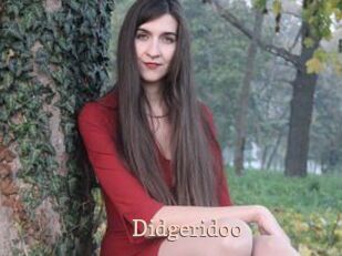 Didgeridoo